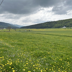 23-05-21 15-46-34 5531